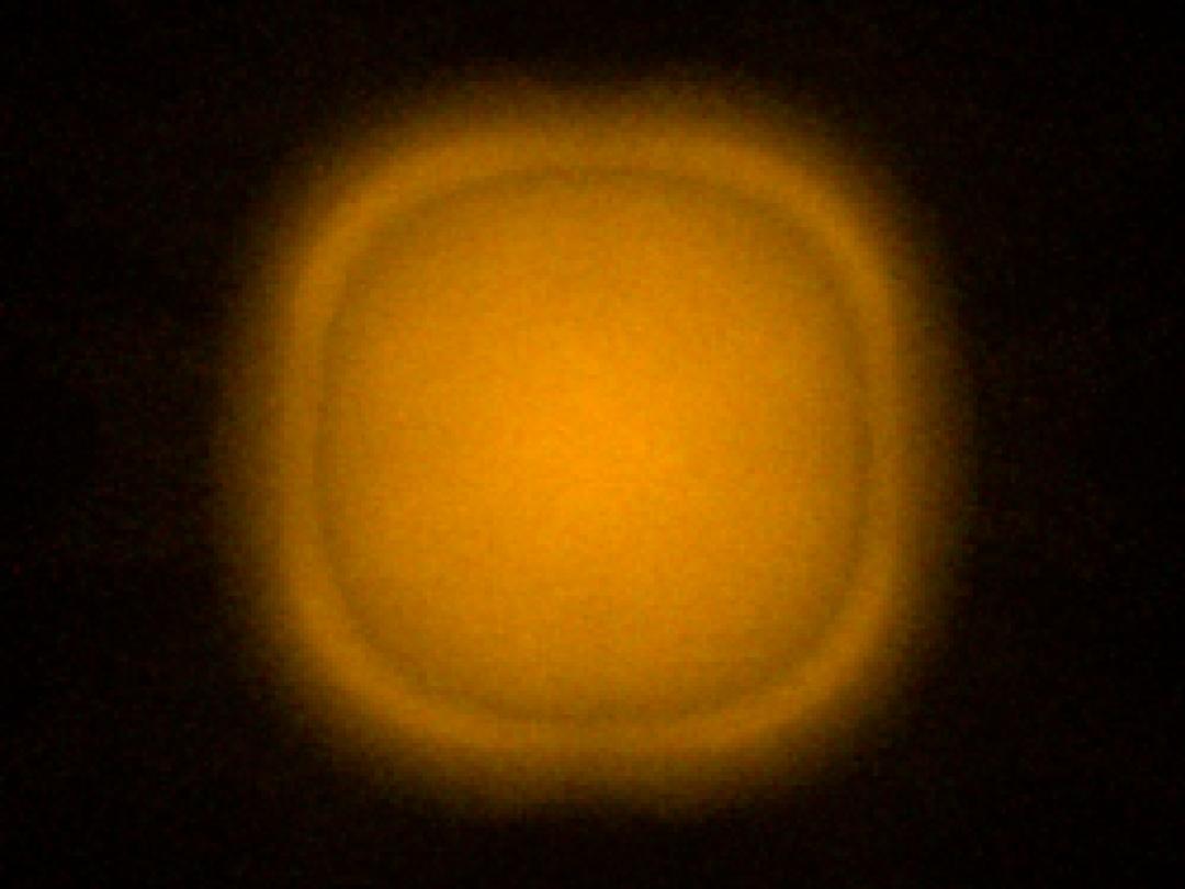 optic-60160-Oslon_Pure_1414_Yellow-spot-image.jpg